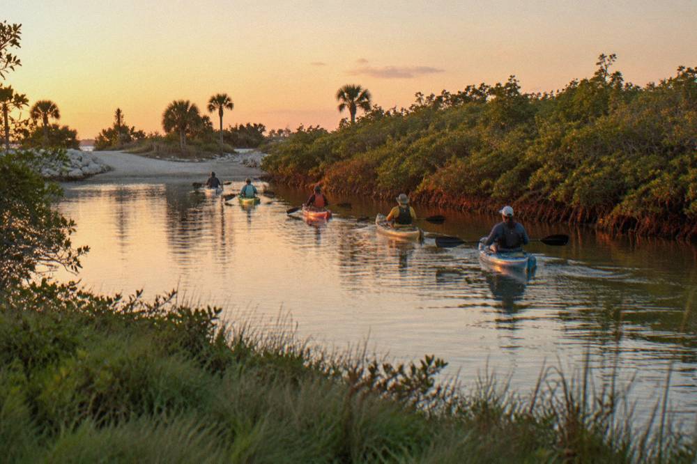 Kayaks floating in a line along a calm mangrove shoreline at golden hour