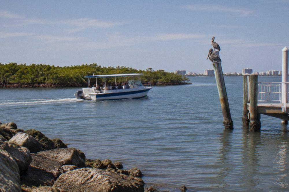 Open tour boat on calm lagoon water near mangrove shoreline in morning light