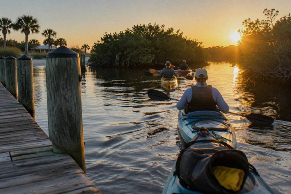 A guided kayak group paddling through a calm mangrove channel at golden hour
