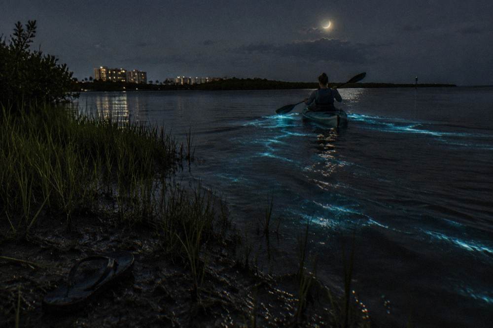 Glowing blue paddle strokes in dark lagoon water on a nighttime bioluminescence kayak tour