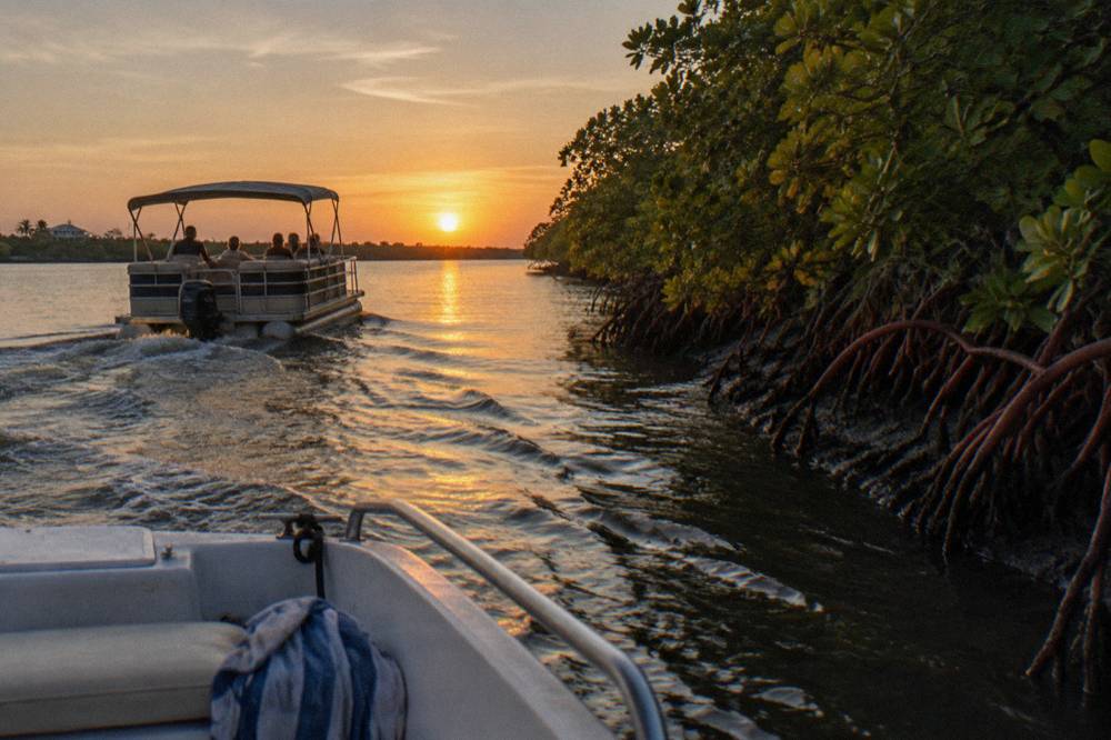 A pontoon tour boat with passengers moving slowly through a mangrove channel in evening light