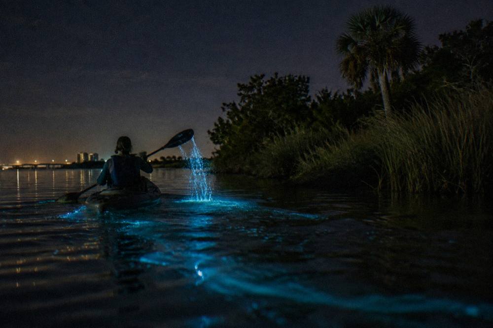 Glowing blue-green water trailing behind a kayak paddle stroke on a dark lagoon at night