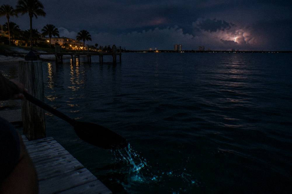 Glowing blue bioluminescent water around a kayak paddle at night