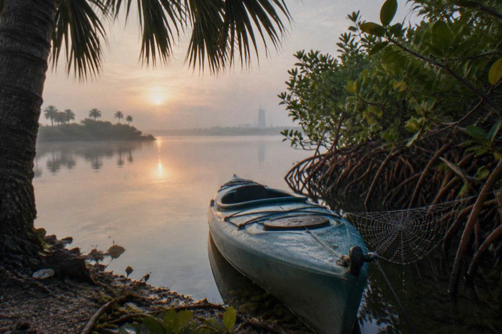 A single kayak resting on calm lagoon water beside mangroves in early morning light