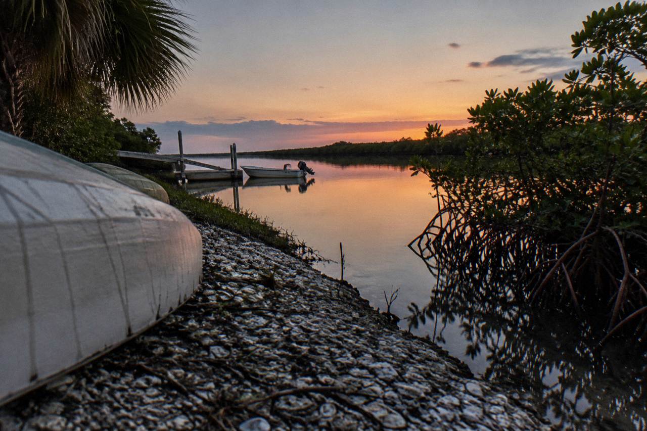 Calm lagoon water at dusk with mangrove shoreline and an empty kayak launch
