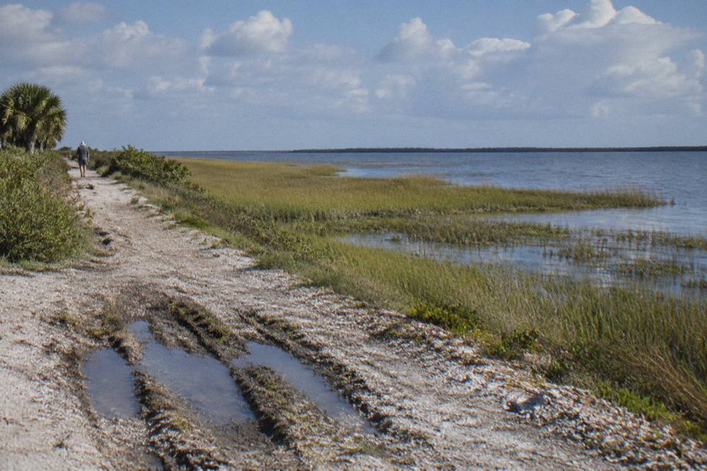 Marsh grass and open lagoon water under a wide sky at a wildlife refuge