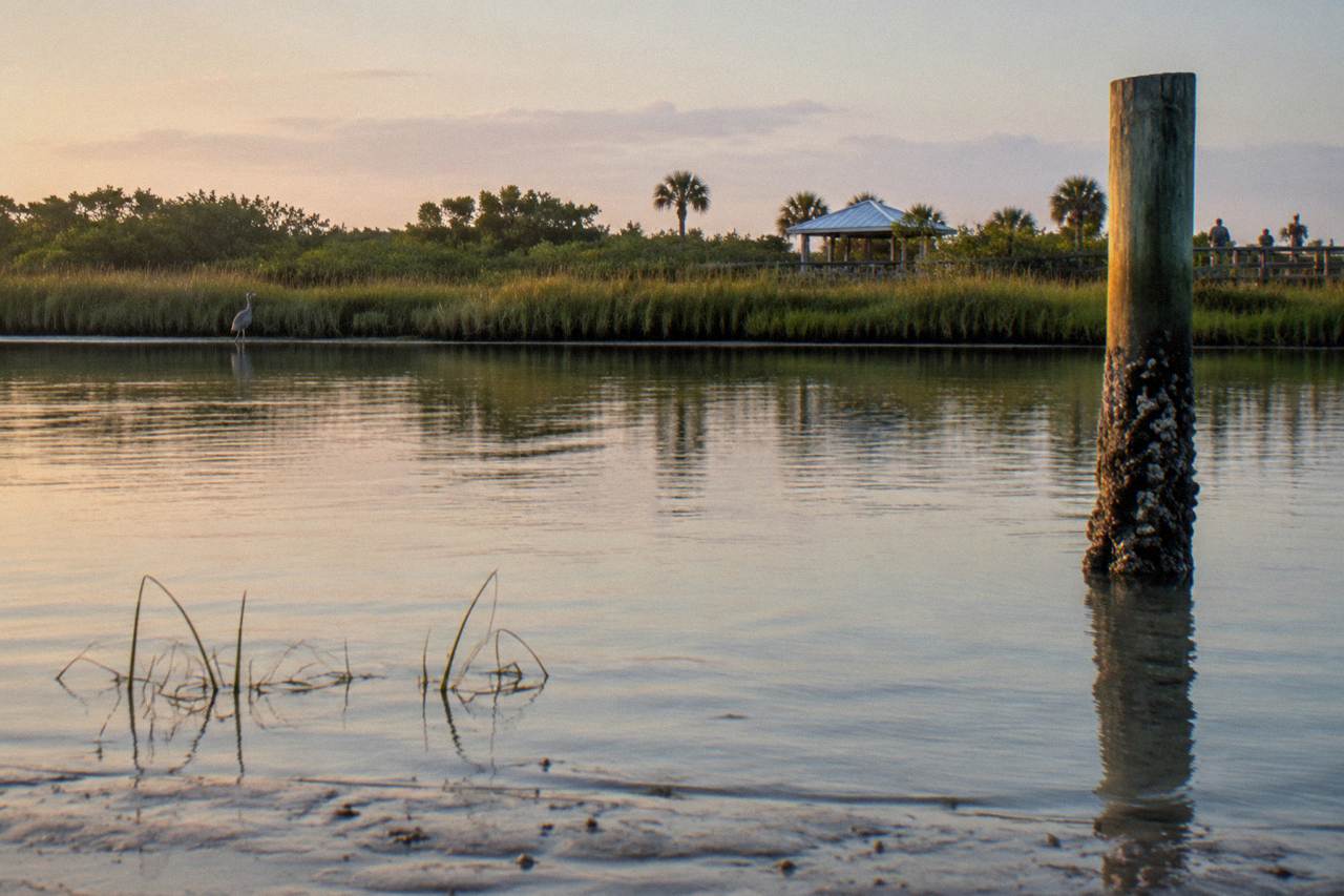 Calm lagoon water and green marsh grass along a Merritt Island shoreline