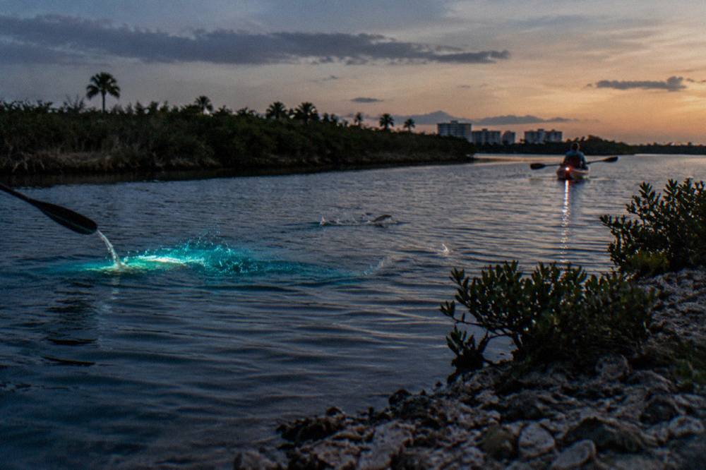 Blue-green light trails swirling behind a paddle blade in dark lagoon water at night