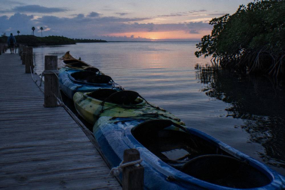 Tandem kayaks floating on a dark lagoon, faint blue glow along the hulls, mangroves silhouetted