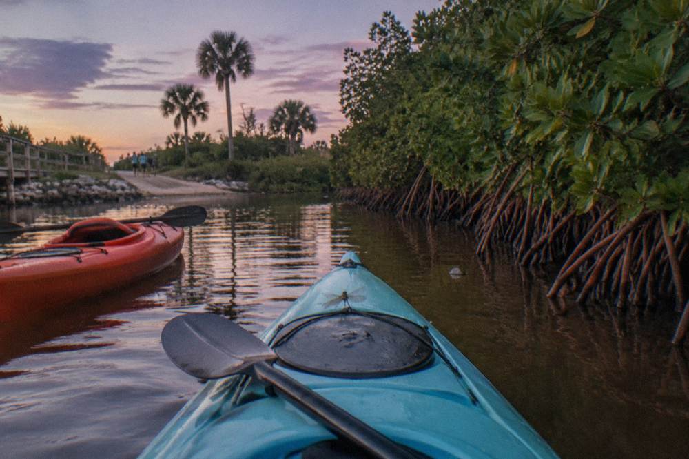Two kayaks drifting on still lagoon water fringed by mangroves in early evening light