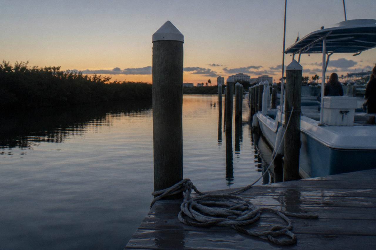 Calm lagoon water at dusk with a wooden dock and mangroves along the shoreline