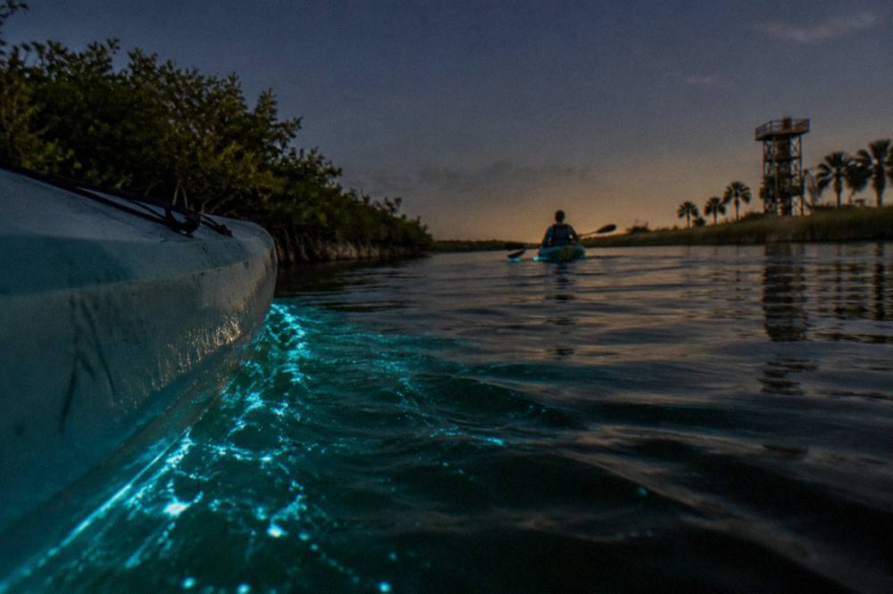 Blue glowing ripples spreading around a kayak hull on black night water
