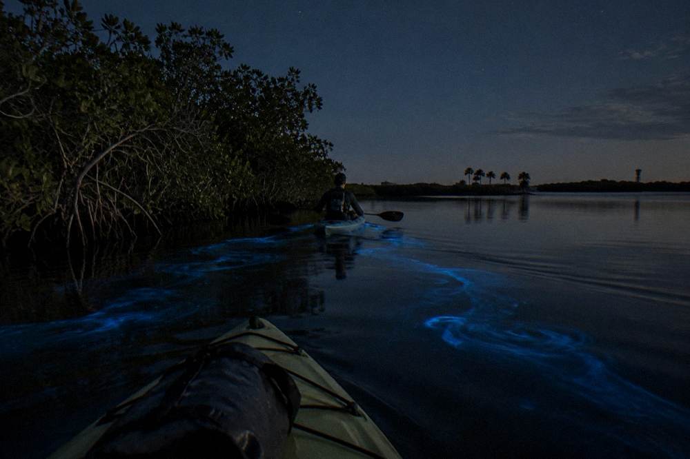 Glowing blue paddle trails curving through still black lagoon water at night