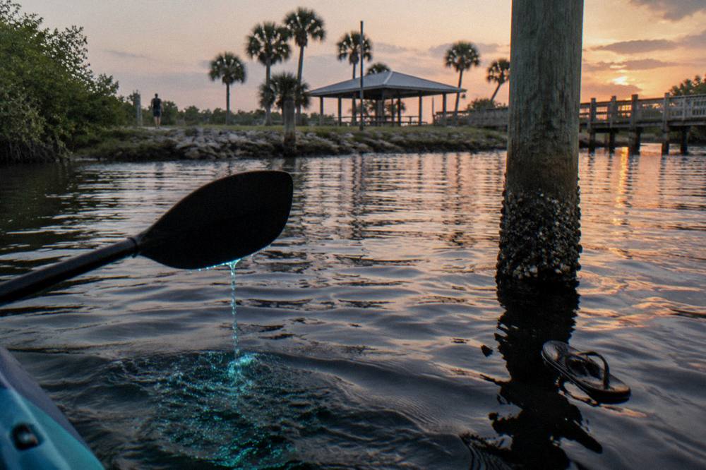A glowing blue streak of disturbed water trailing behind a paddle at night
