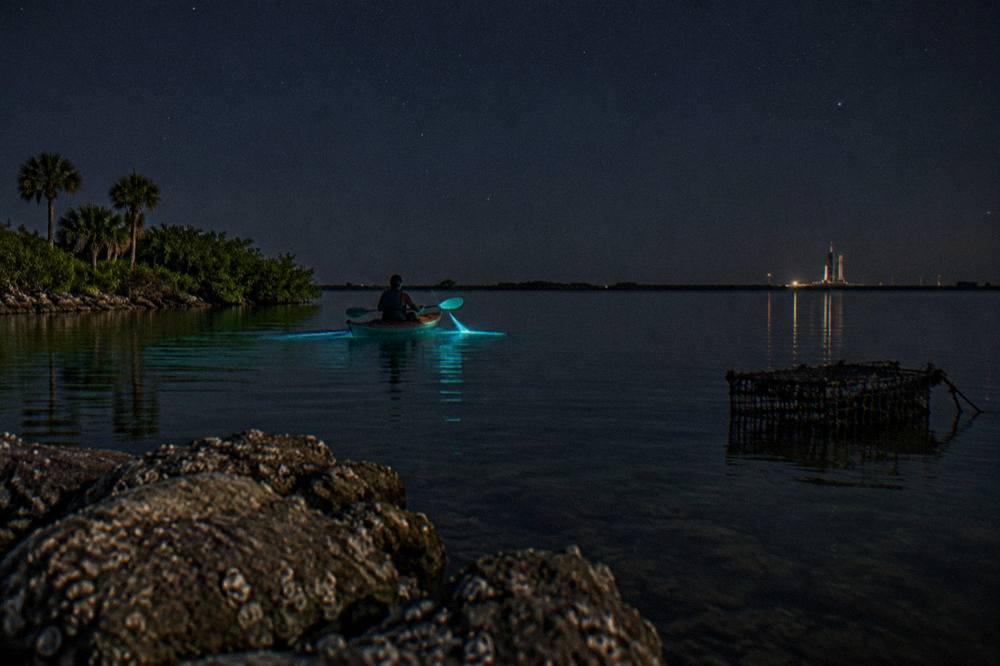 A kayak gliding across dark lagoon water leaving a bright blue glowing trail beneath a starry sky