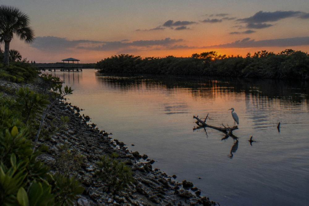 Mangrove shoreline at twilight along calm lagoon water with the last orange light fading over the trees