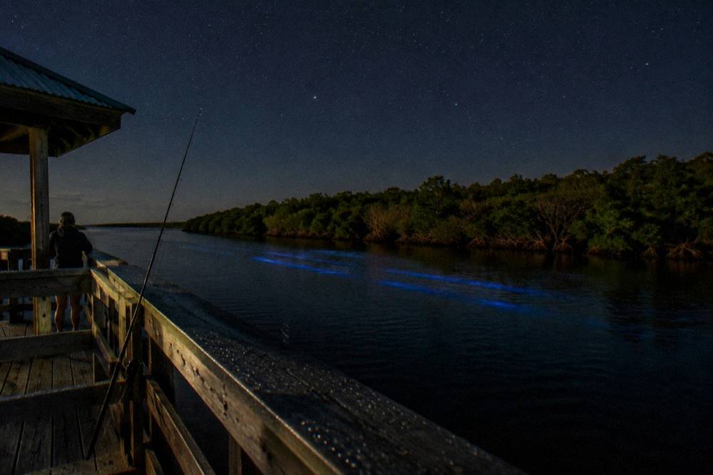 A line of glowing blue paddle trails crossing black lagoon water beneath a dark star-filled sky