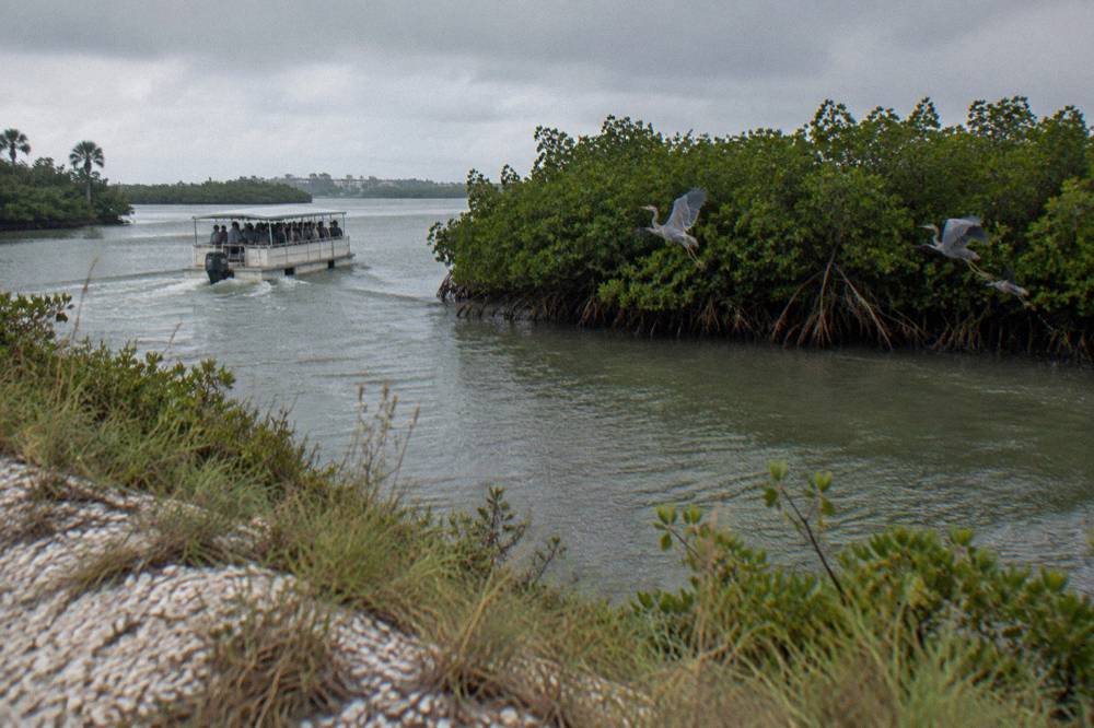 A tour boat passing mangroves on the Banana River near Cocoa Beach