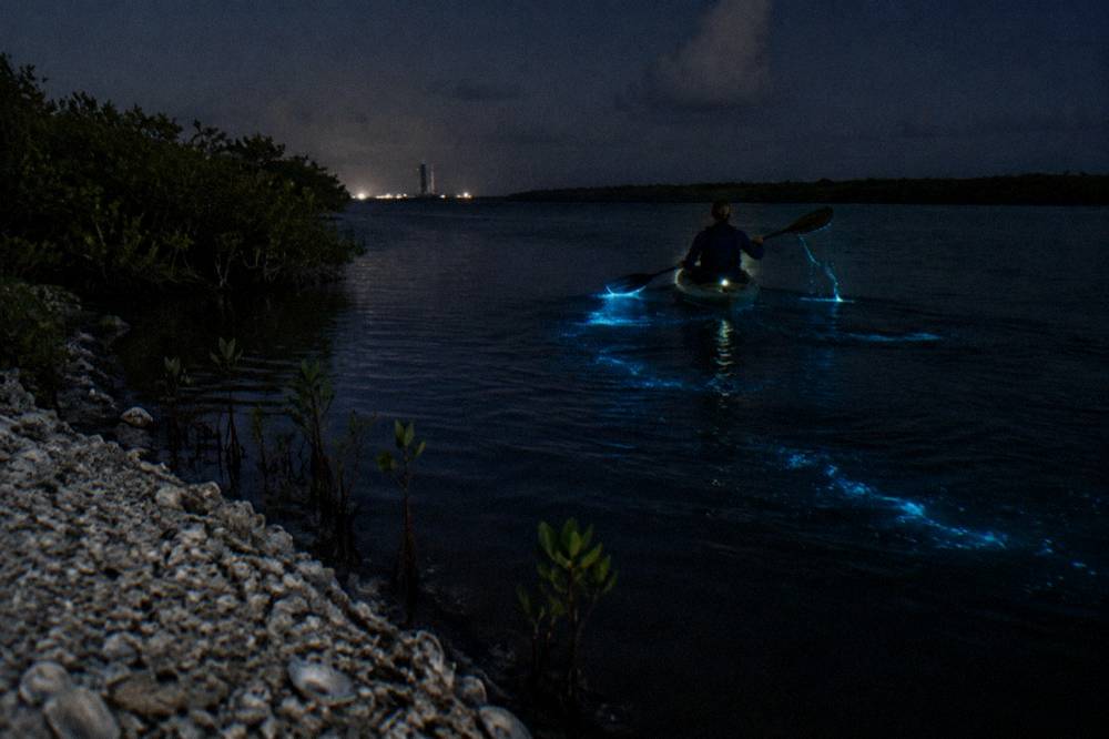 Glowing blue light trailing from a paddle stroke in dark lagoon water at night