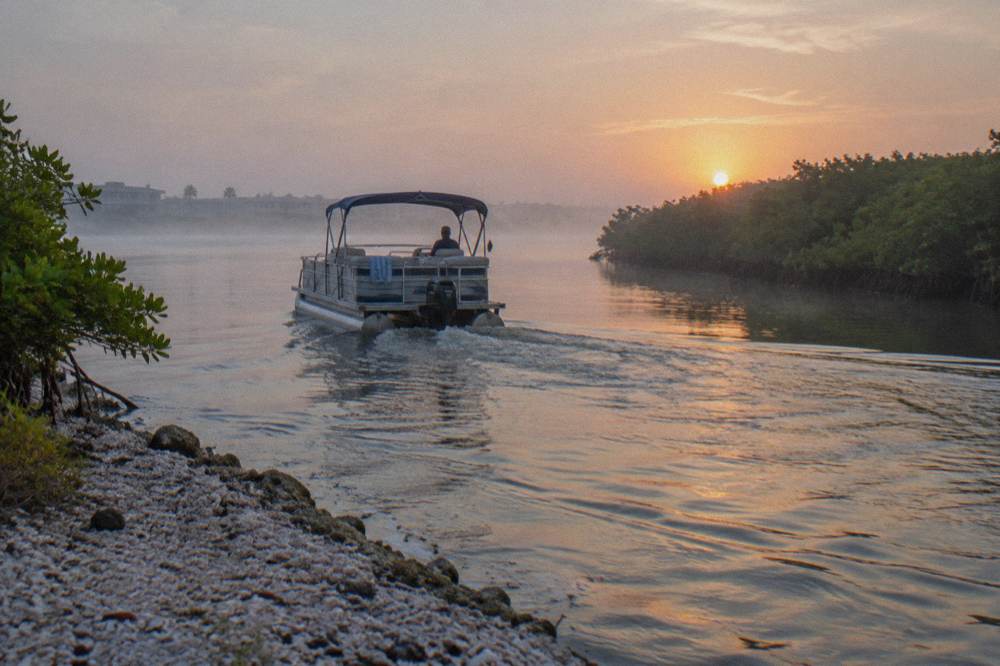 A small pontoon boat cruising a calm lagoon past mangrove shoreline