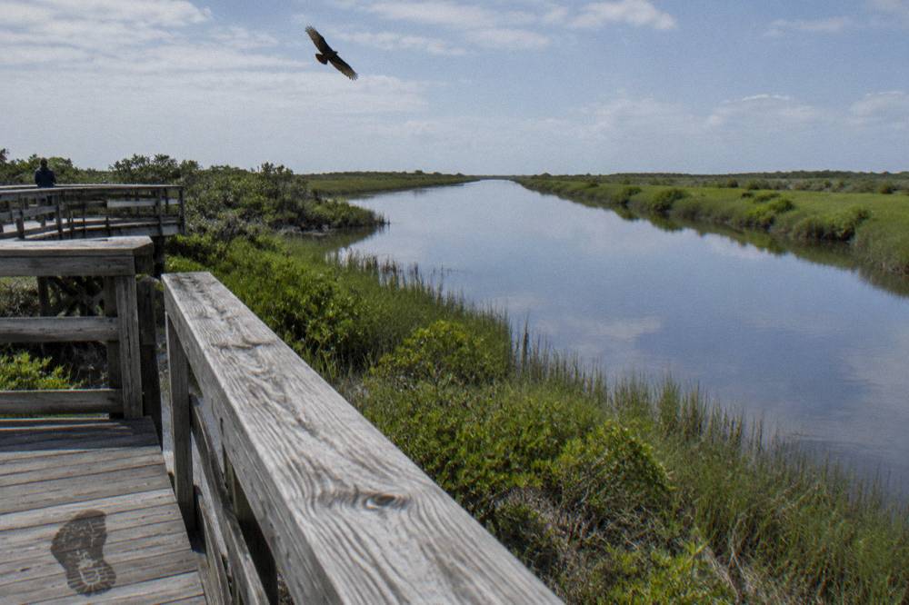 A wooden observation deck overlooking a calm canal surrounded by green marsh