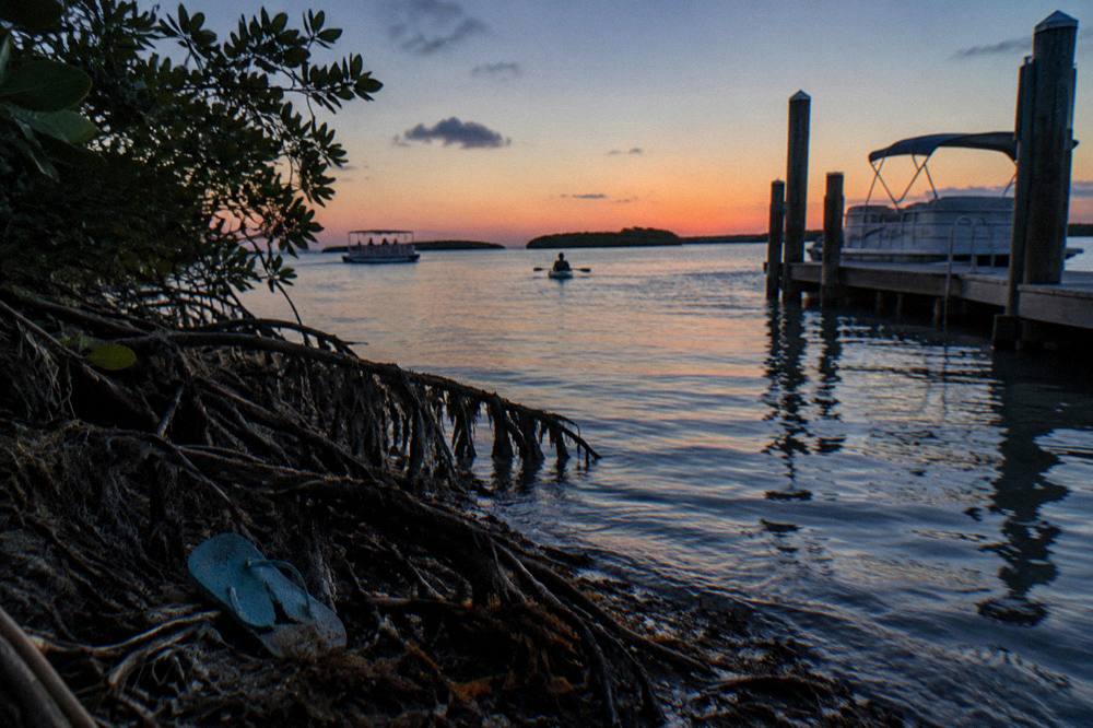 A wide lagoon view at twilight with silhouetted mangroves and a deep blue and orange gradient sky