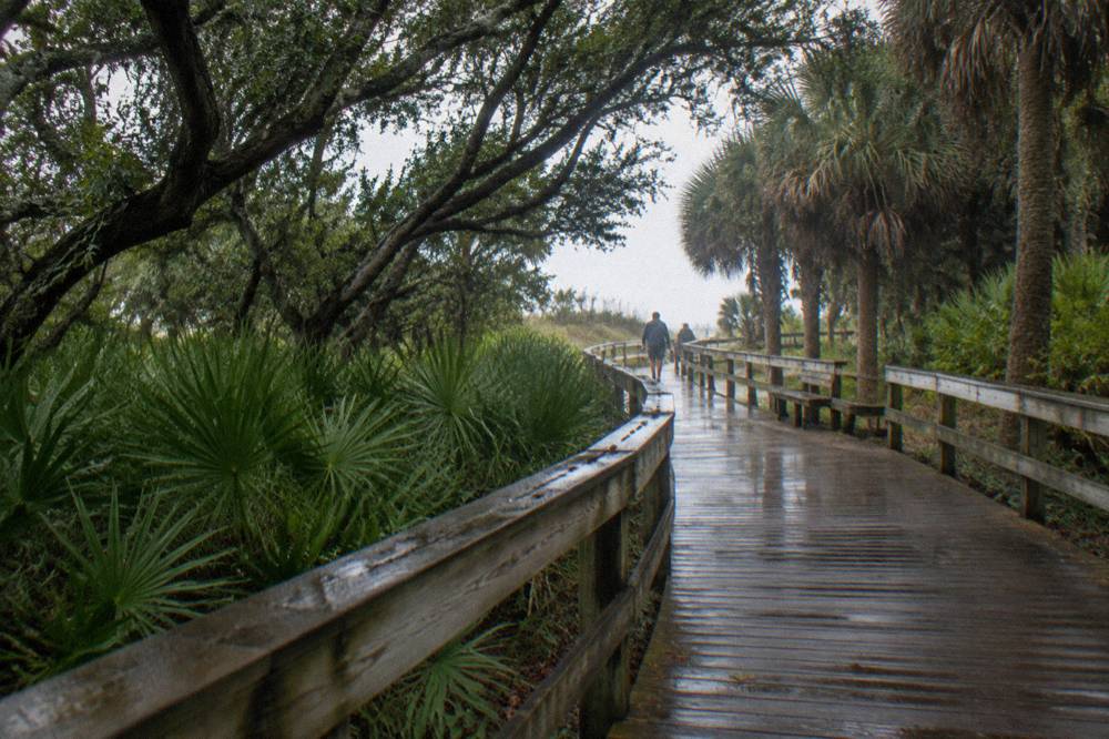 Boardwalk path curving through dense green maritime hammock toward dunes