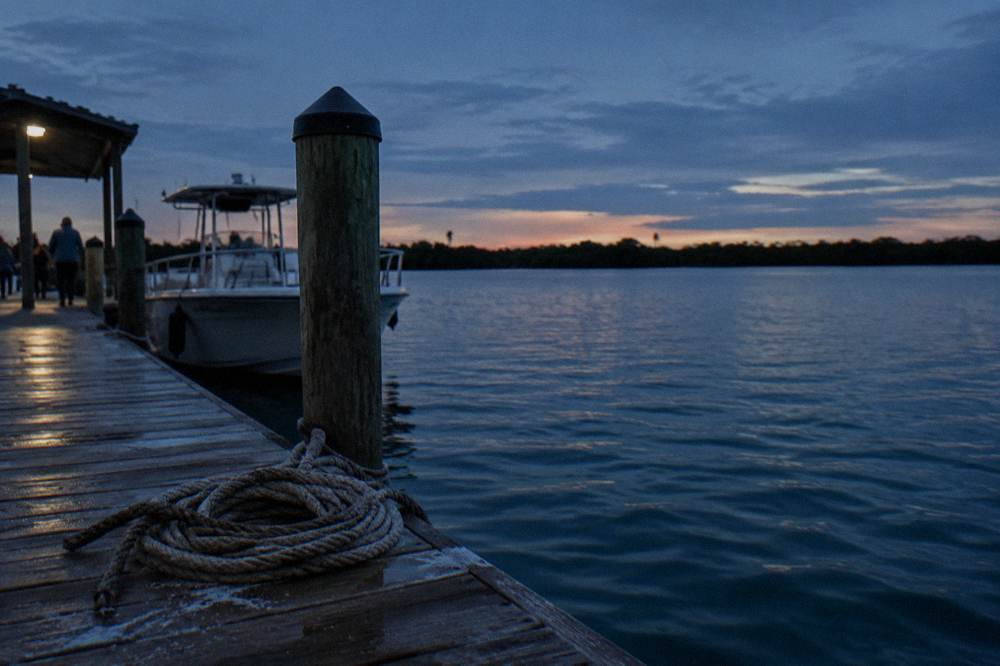 Calm lagoon water at dusk with rippled surface and treeline silhouetted in the distance
