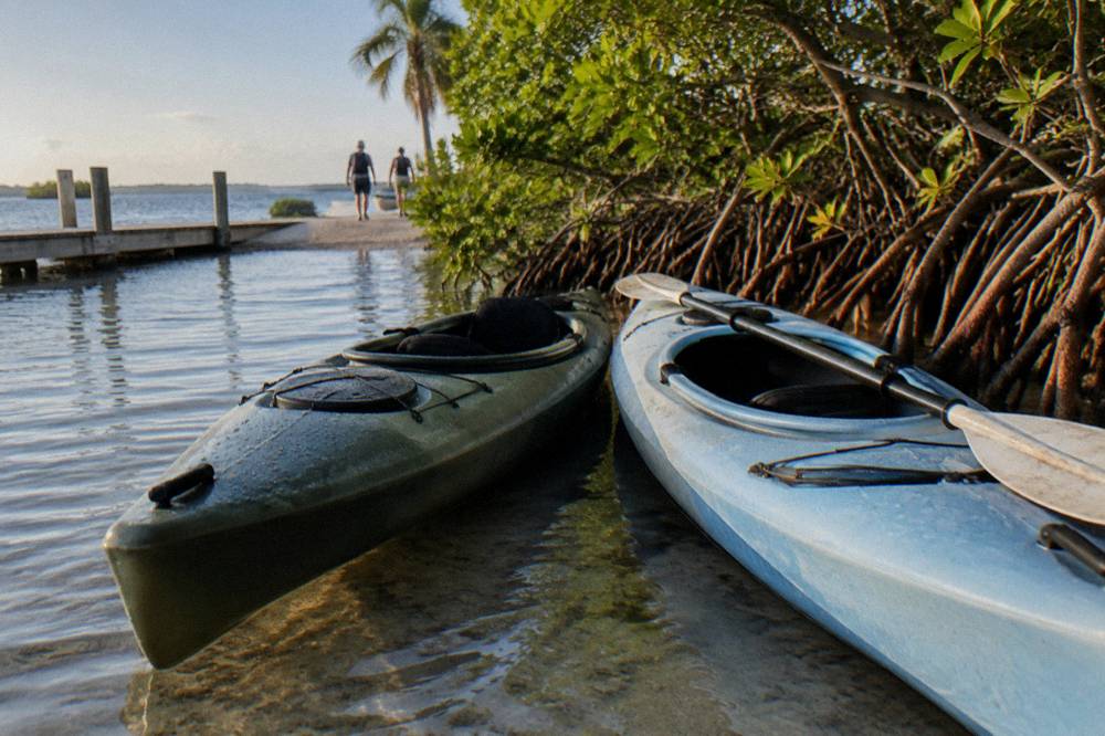 Two kayaks resting in shallow calm water beside a wall of green mangroves
