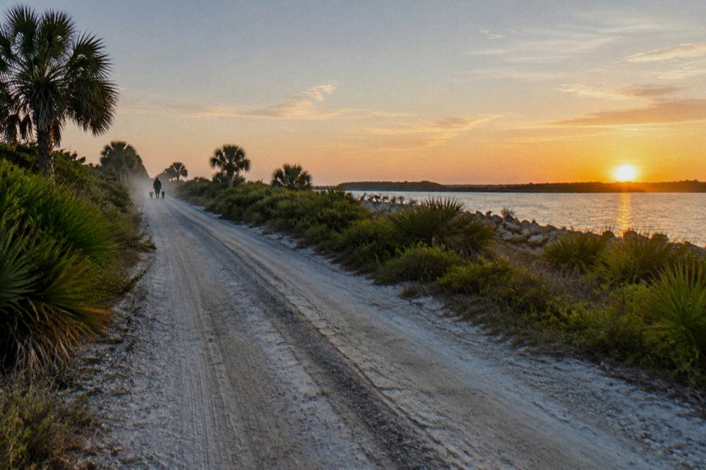Wooden sign and gravel road at a wildlife refuge entrance among palm scrub