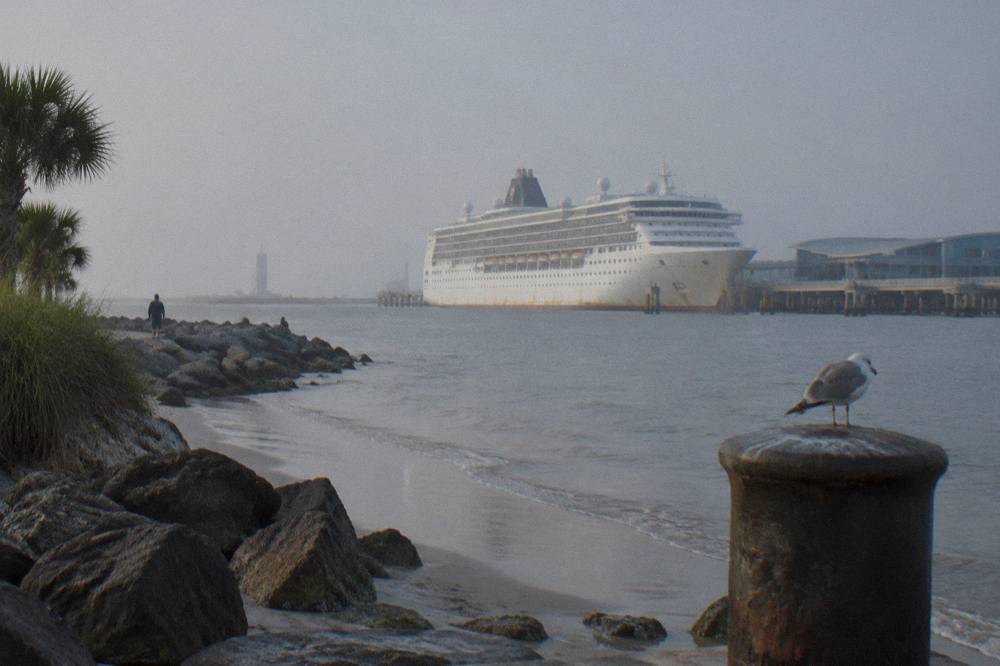 Cruise ship docked at a port terminal seen across calm harbor water