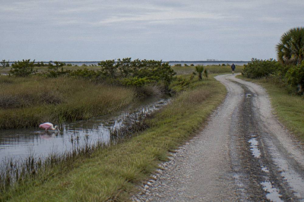 Winding gravel road through flat green marshland with distant water