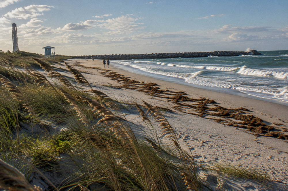 Empty sandy beach with low dunes and grass under a wide sky
